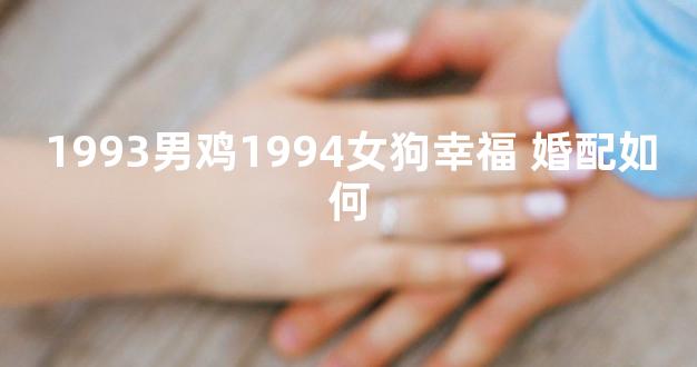 1993男鸡1994女狗幸福 婚配如何